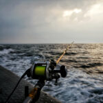Best Rods & Reels for Inshore vs. Offshore Fishing