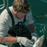 Blog 1 Mastering Trolling Techniques for Tuna